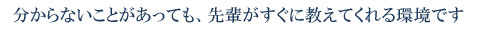 分からないことがあっても、先輩がすぐに教えてくれる環境です